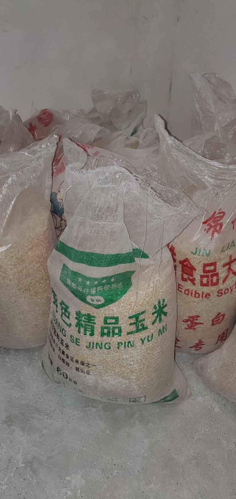 碎玉米贵州本地碎玉米去皮净碎玉米鸡鸭鹅养殖