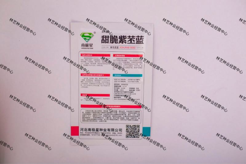 苤蓝种子紫苤兰种子水果苤蓝球茎春秋季种植农家菜园栽蔬菜种