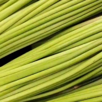 蒜薹