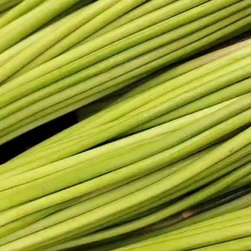 蒜薹