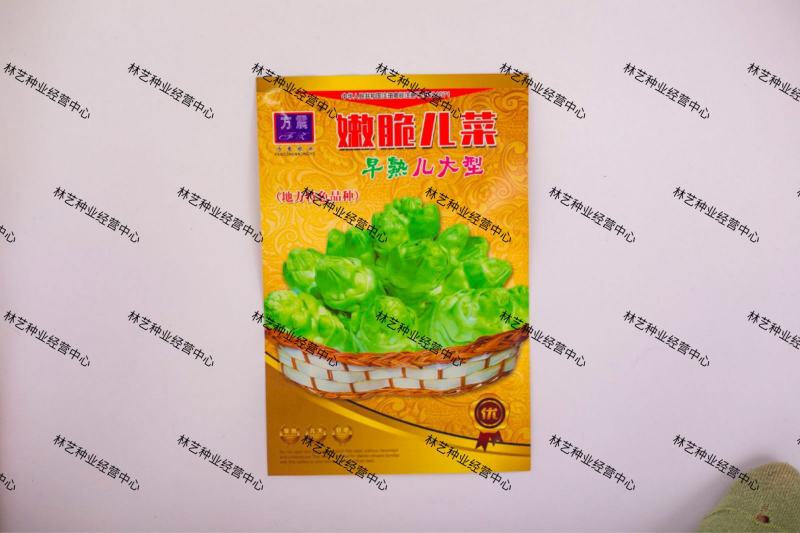 儿菜种子娃娃菜抱母子脆嫩娃娃菜芥菜泡菜青菜头秋季播耐寒蔬