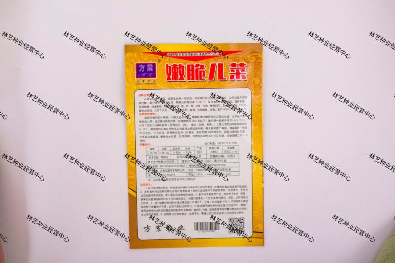 儿菜种子娃娃菜抱母子脆嫩娃娃菜芥菜泡菜青菜头秋季播耐寒蔬