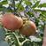 秘鲁蜜粉大果草莓番茄种子，铁皮柿子种子，水果西红柿种子，