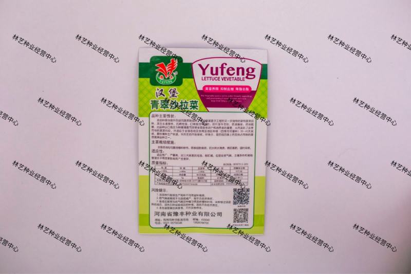 农家传统精品瘤瘤菜种子瘤芥菜种籽弥陀芥菜脆嫩鲜食腌制春秋