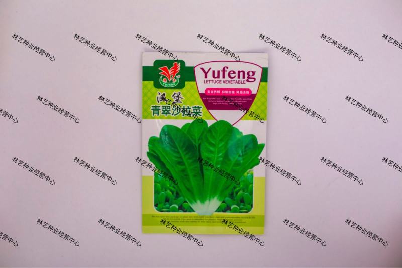 农家传统精品瘤瘤菜种子瘤芥菜种籽弥陀芥菜脆嫩鲜食腌制春秋