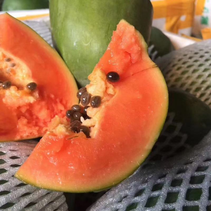 红心木瓜“百益果王”木瓜强势回归