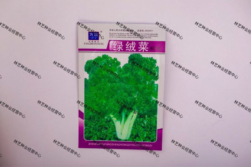 绿绒菜种子春不老黑菜种子青菜种籽庭院秋冬蔬菜种孑籽