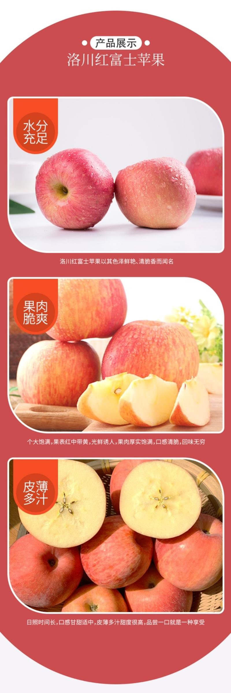 陕西苹果洛川红富士苹果甜脆商品果一件代发社区团购商超供货