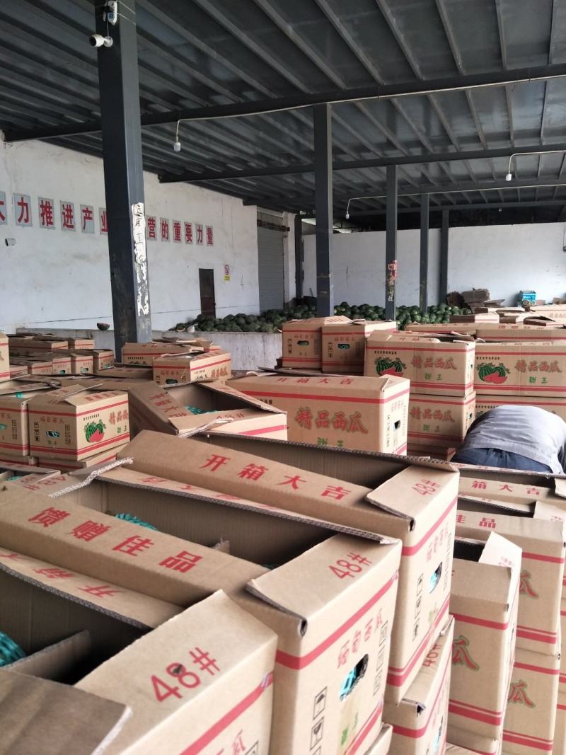云南保山精品甜王西瓜！质量上乘！品质保证！一手货源！甜王