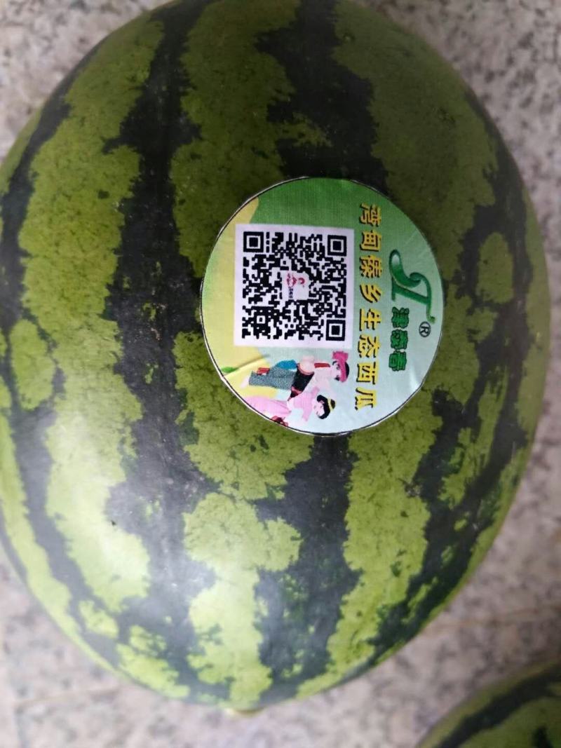 云南保山精品甜王西瓜！质量上乘！品质保证！一手货源！甜王