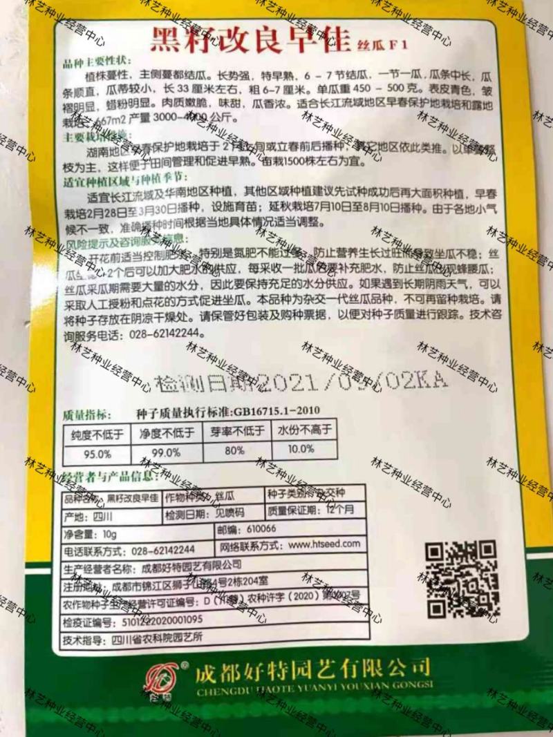 好特黑籽改良早佳丝瓜种子早熟春播顺直青皮丝瓜种籽一节一瓜