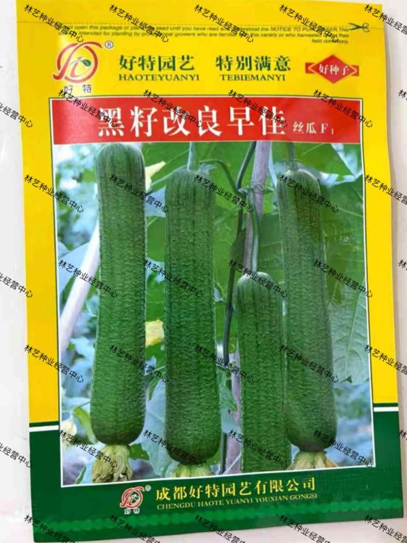 好特黑籽改良早佳丝瓜种子早熟春播顺直青皮丝瓜种籽一节一瓜