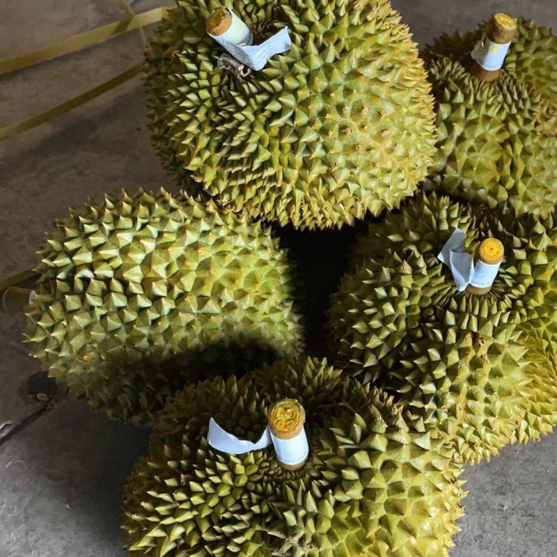 泰国榴莲