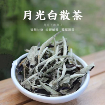 明前春茶云南白茶主产区景谷大白茶月光美人茶