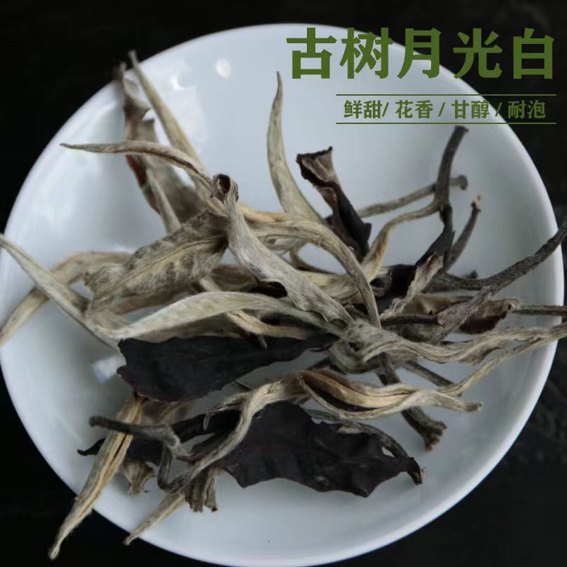 明前春茶云南白茶主产区景谷大白茶月光美人茶