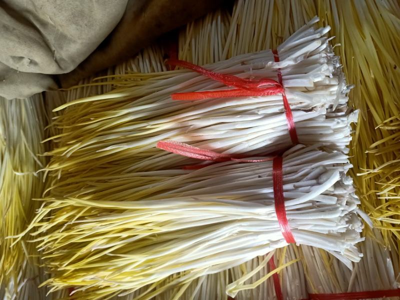 山东平邑蒜黄，头茬，新鲜现割，大量供应，抽真空加冰瓶耐放