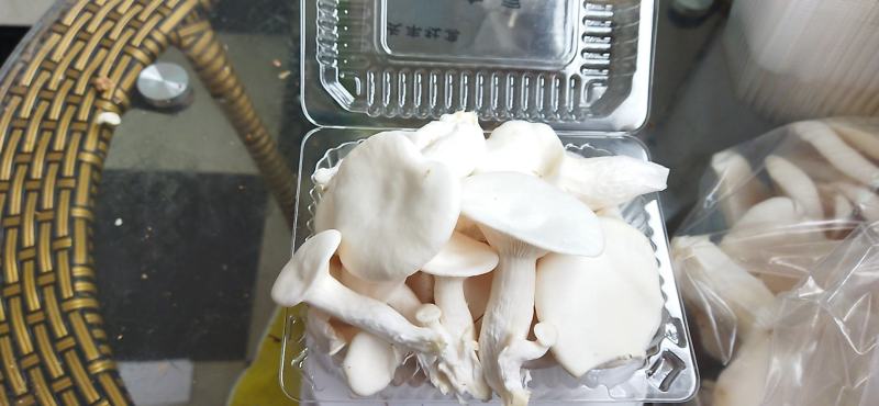 食用菌，蘑菇，新鲜蘑菇，玉白灵，袖珍白灵，洁白如玉，口感