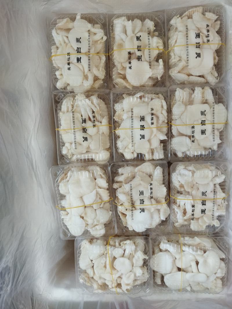 食用菌，蘑菇，新鲜蘑菇，玉白灵，袖珍白灵，洁白如玉，口感