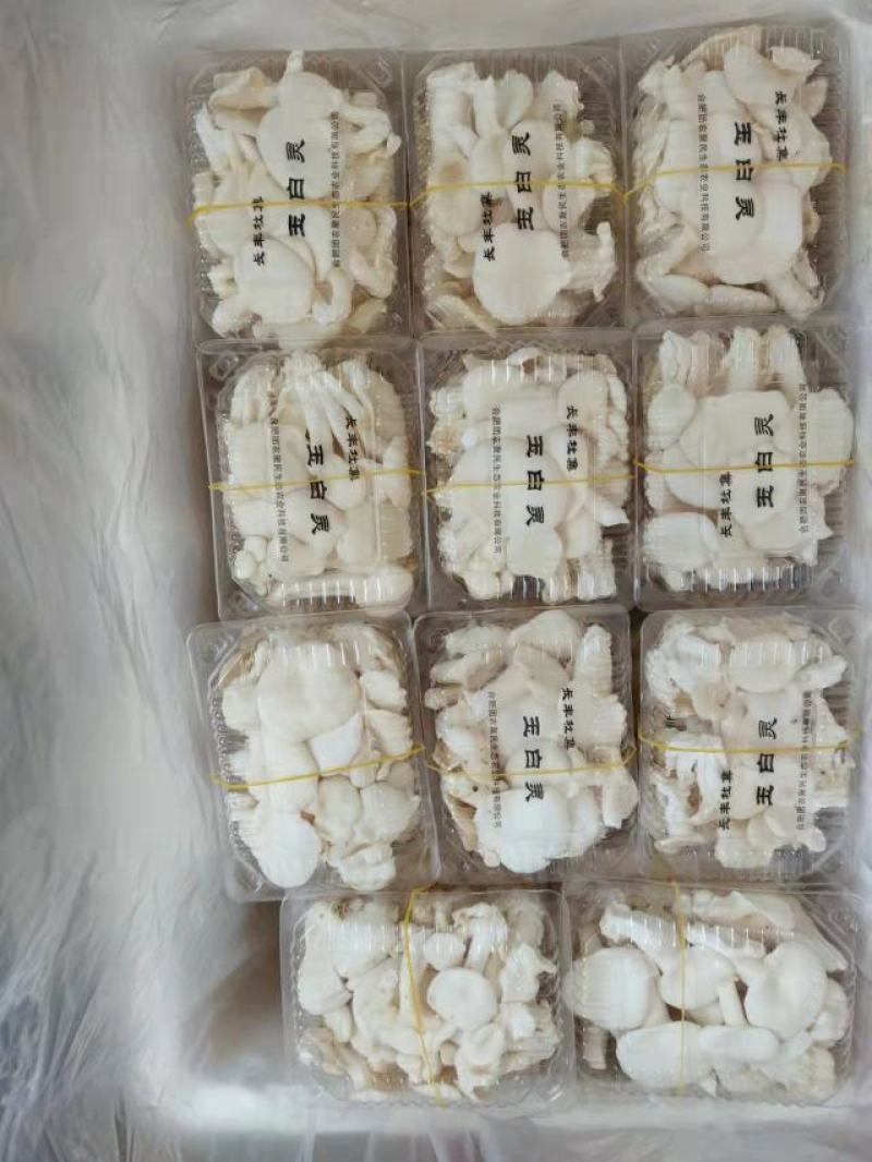 食用菌，蘑菇，新鲜蘑菇，玉白灵，袖珍白灵，洁白如玉，口感