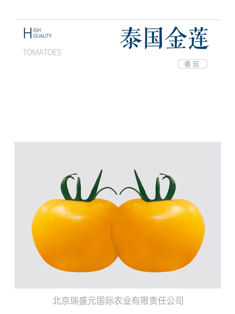 大黄番茄种子泰国金莲高产黄色大西红柿籽种出口俄罗斯抗病