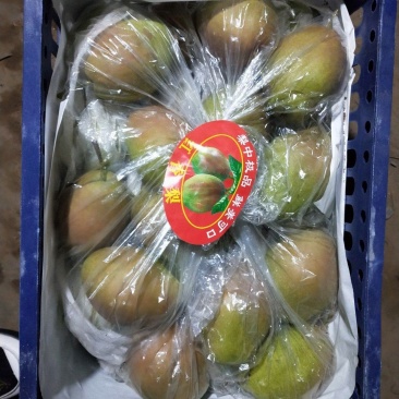 河北红香酥