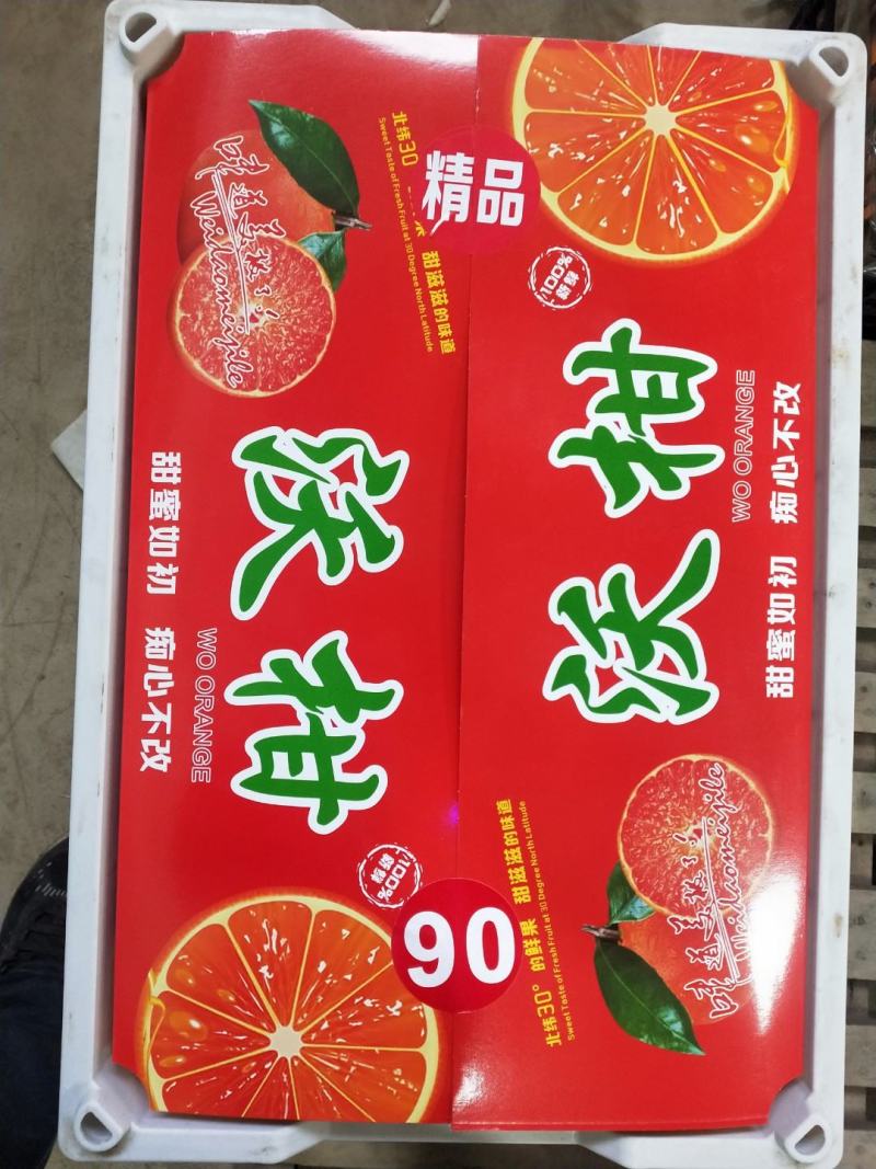 广西武鸣沃柑