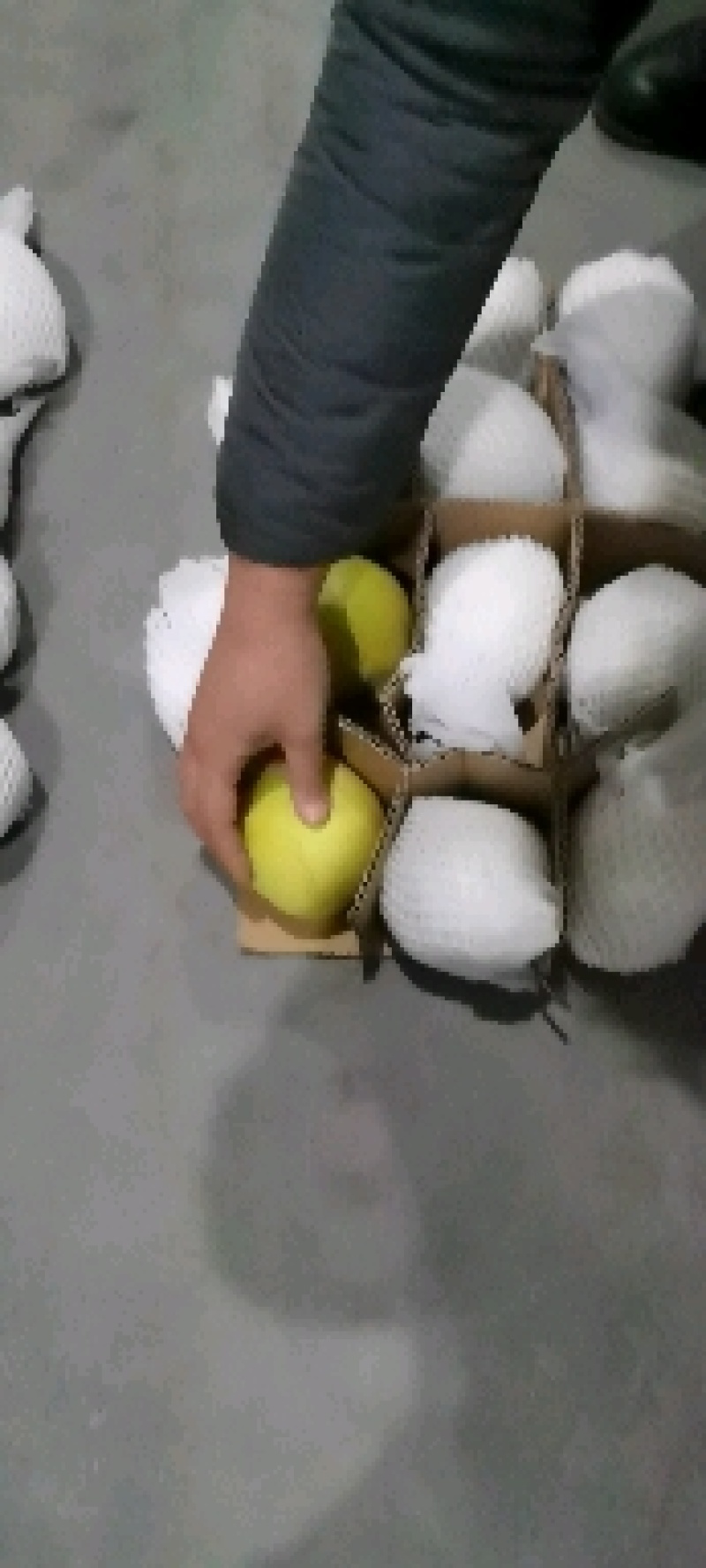 雪梨