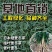 麦冬草，矮麦冬草，玉龙草，金边麦冬草四季常青细叶麦冬草苗