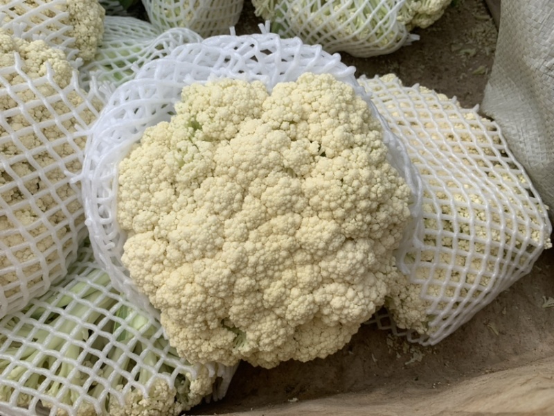 菜花，青梗散花，花菜，有机花菜，松花菜，散菜花