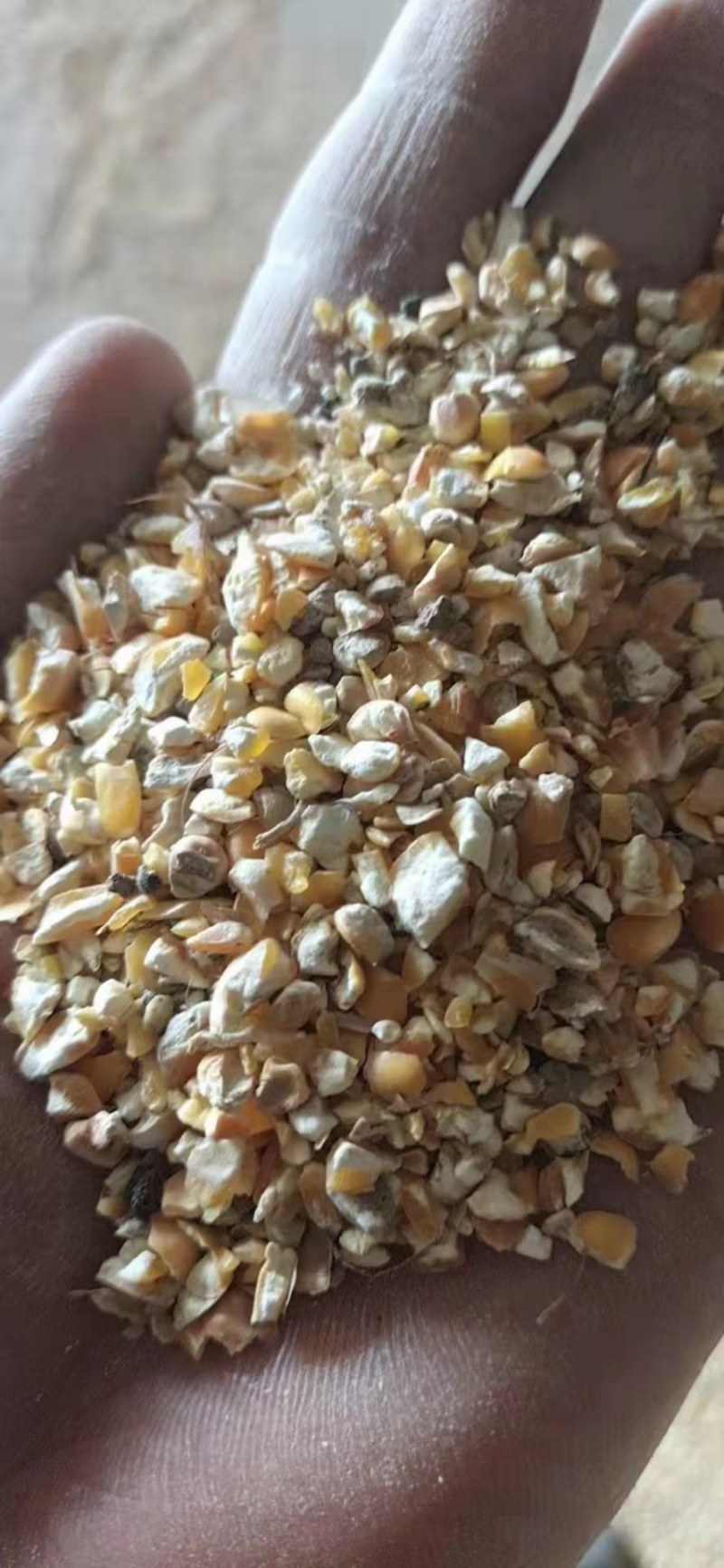 碎玉米出售价格便宜，适合牛羊猪马驴鸡鸭鹅养殖用！