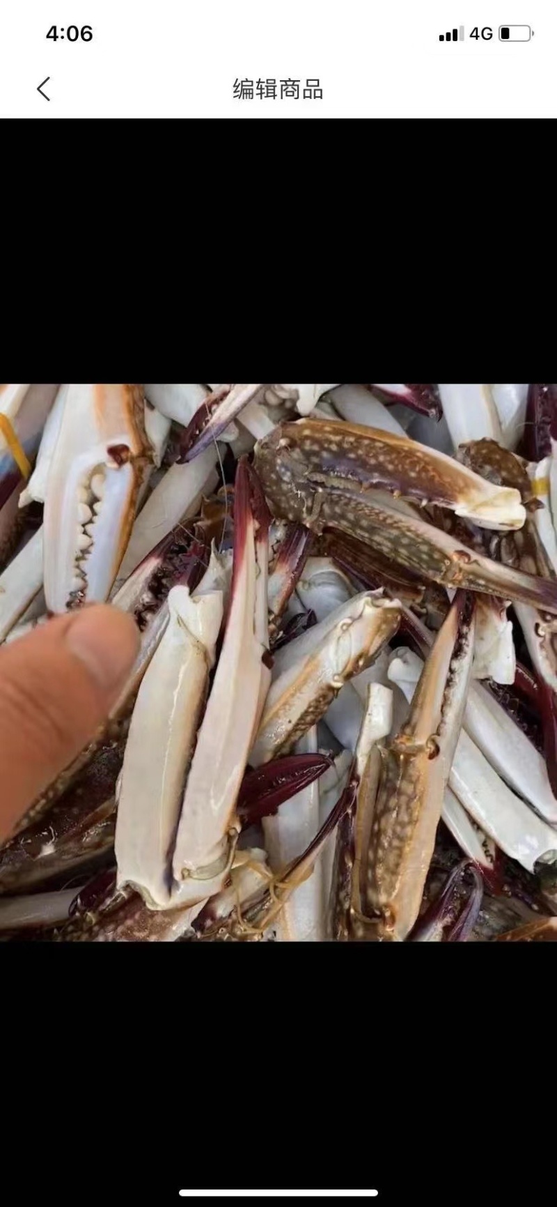 蟹钳，梭子蟹钳，活体蟹钳，蟹脚，规格齐全，全部当年新货，