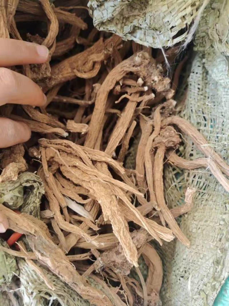 云南产地续断和尚头大货批发直供川续断现货产地直发