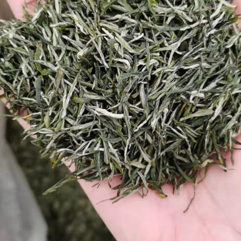 湖北边远农村恩施绿茶毛尖茶明前茶春茶芽茶新茶