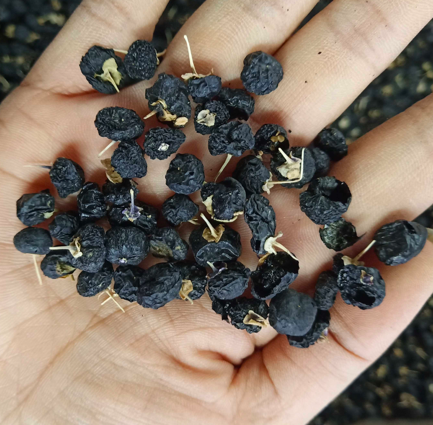 展示真实用户在服用黑玛卡前后在精力、睡眠和性功能方面的改善对比 黑玛卡用户使用前后对比图