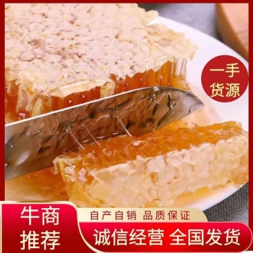 野生蜂蜜中蜂蜜江西深山土蜂蜜波美度42度蜂蜜批发零售