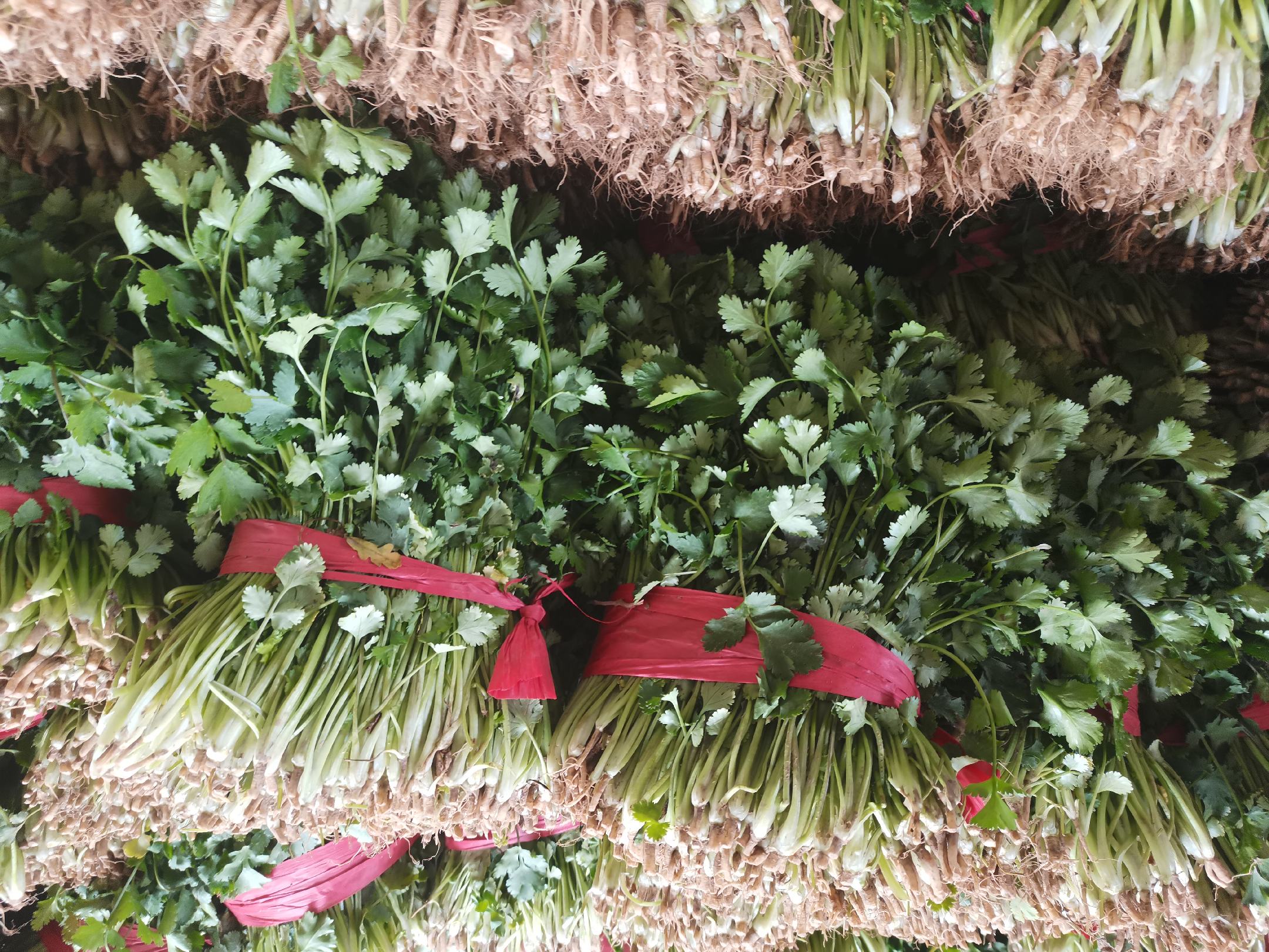 大叶香菜在农贸市场摊位上的陈列