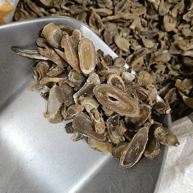 郁金实图拍摄今年新货颜色好看量大从优欢迎选购
