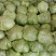 包菜甘蓝市场货电商货包菜圆包菜多多买菜美团