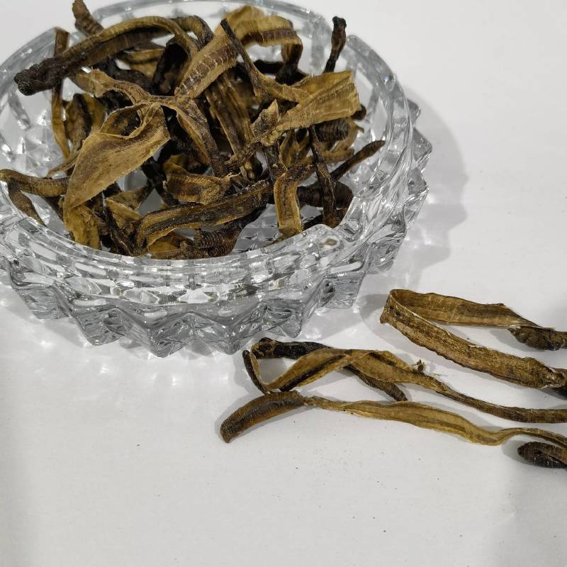 地龙小地龙今年新货实图拍摄颜色好看一手货源