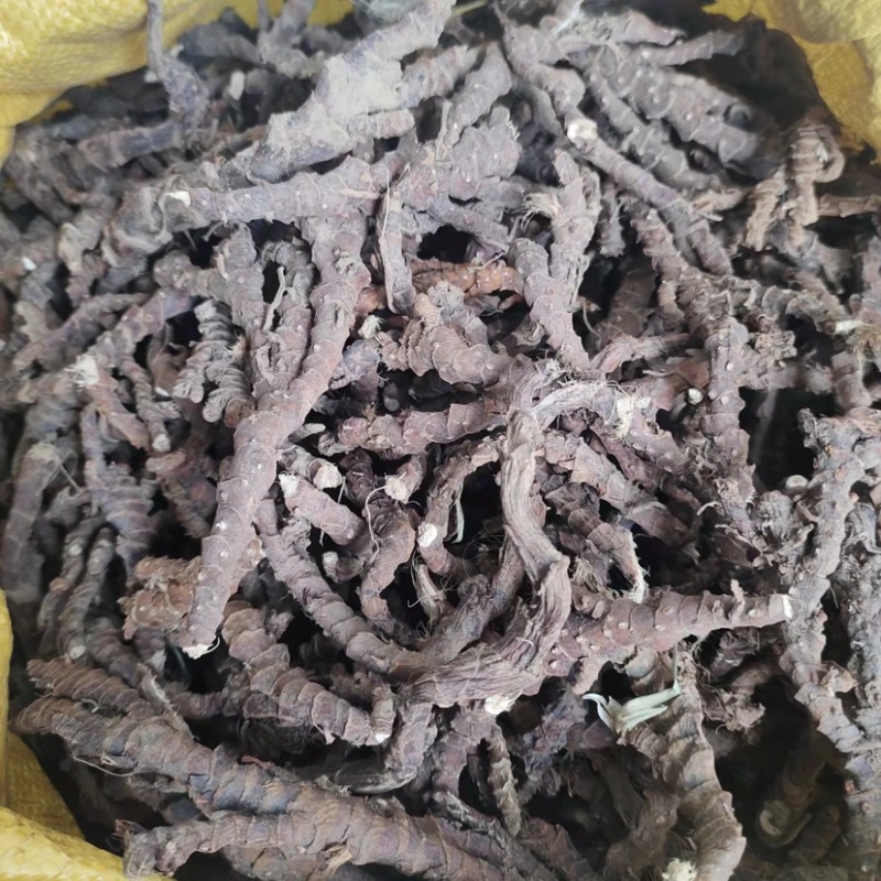 石菖蒲水洗无毛无杂志大个粉质好过滚筒。