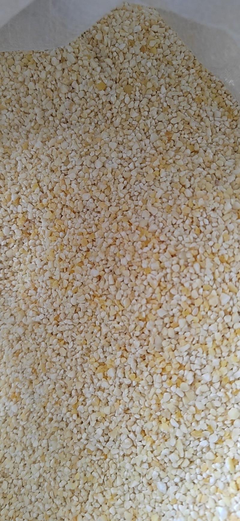 玉米渣，粘玉米碴子，白色，黄色，大中小，