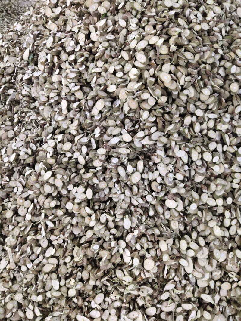 上等桑枝片，桑枝饮片，足浴包用料，药厂投料，源头供应。