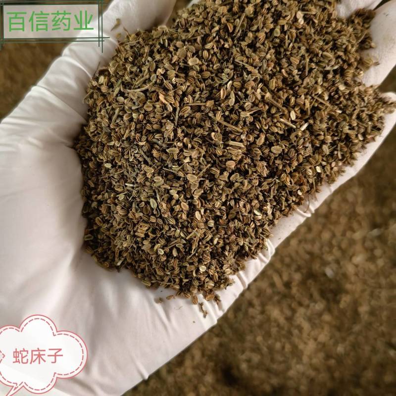 蛇床子实图拍摄今年新货颜色好看欢迎选购量大从优