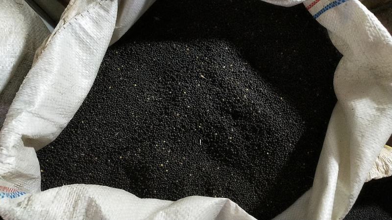 纯香菜籽油农家自榨菜籽油小榨菜油四川宜宾菜籽油0添加