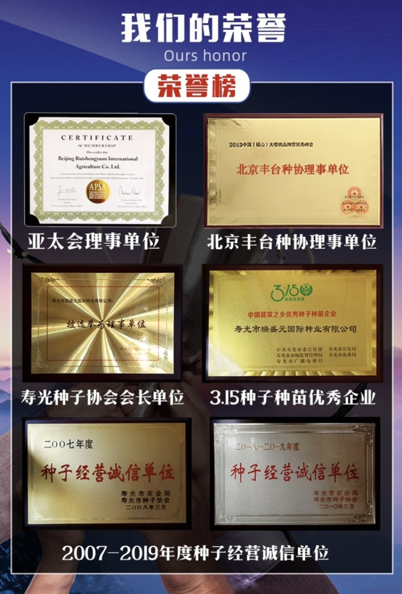 南非黑钻黑色樱桃番茄种子超甜口感颜色黑亮透蓝采摘园必备