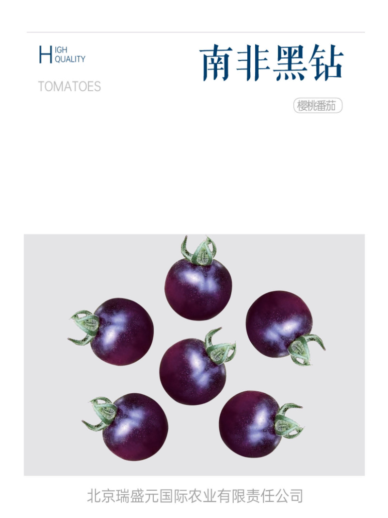 南非黑钻黑色樱桃番茄种子超甜口感颜色黑亮透蓝采摘园必备