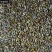 公英根蒲公英根各种养生花茶中药材批发地道药材