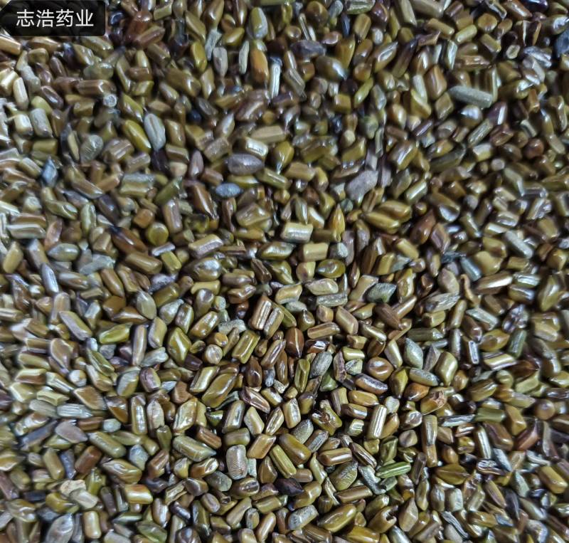 公英根蒲公英根各种养生花茶中药材批发地道药材