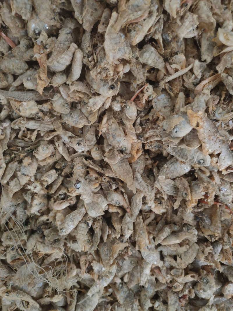 鱼干，饲料鱼，蛋白38，48，一手货源，淡干52