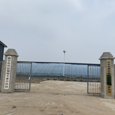 种植基地对外招租